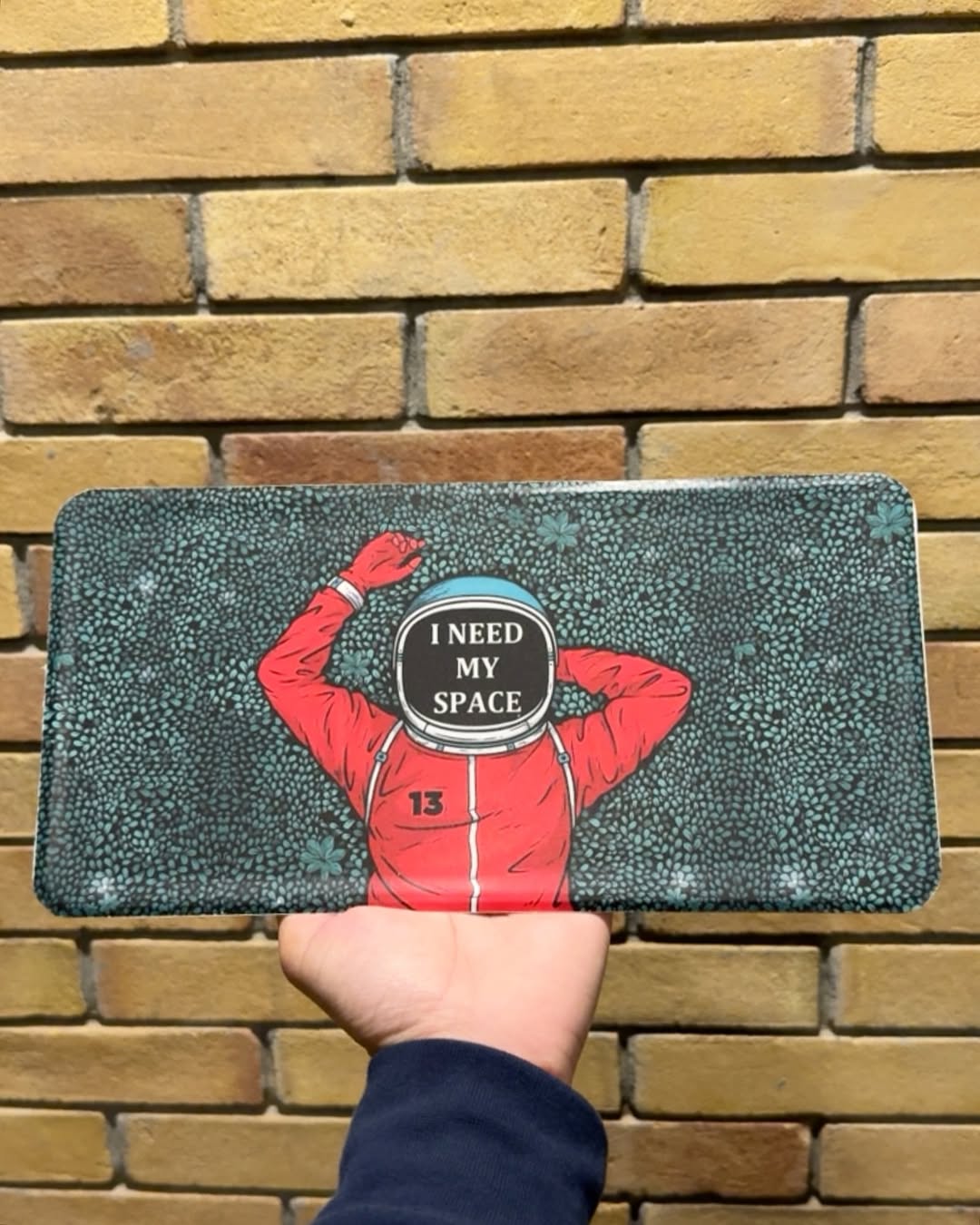 I Need My Space Plate