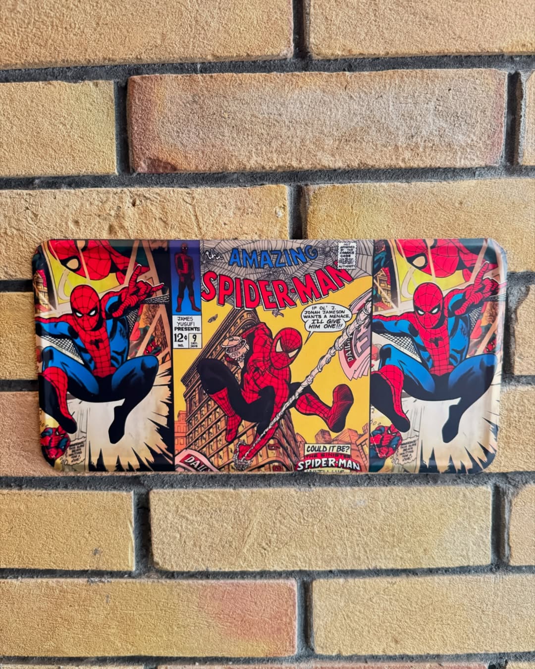 Spider-Man Plate